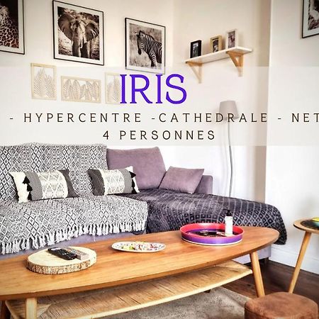 Au Coeur De Reims - Iris Apartment ภายนอก รูปภาพ